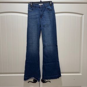 Vibrant High Rise Flare Jeans